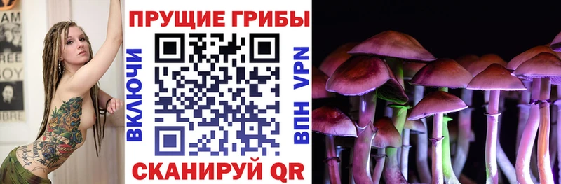 Псилоцибиновые грибы ЛСД  Серафимович 