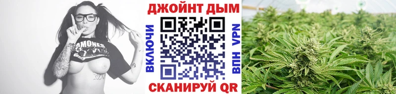 KRAKEN   Серафимович  Канабис THC 21% 